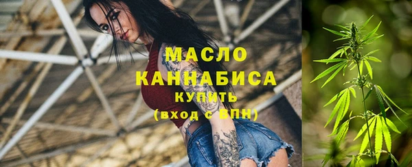 крисы Бронницы