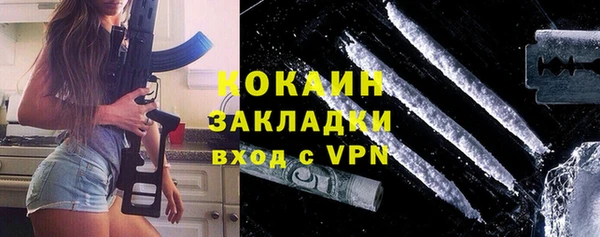 ПСИЛОЦИБИНОВЫЕ ГРИБЫ Бородино